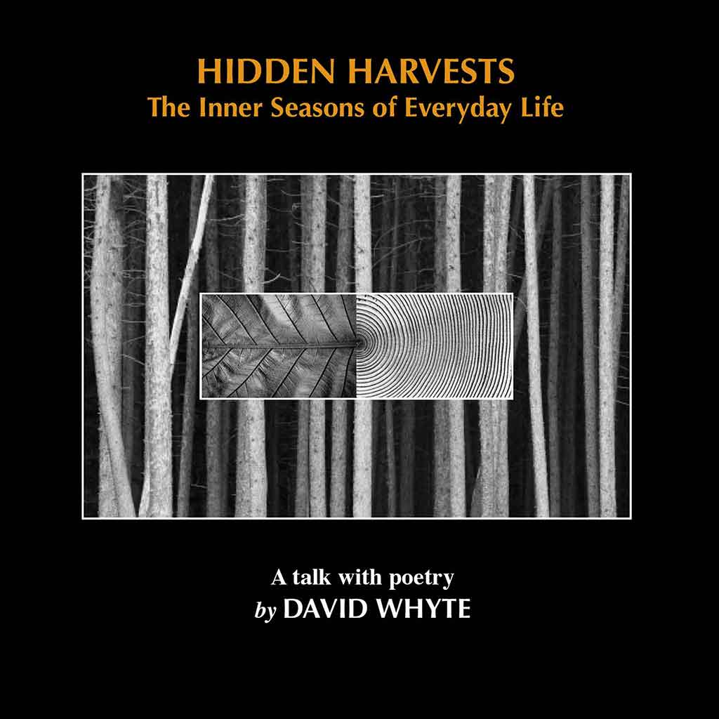 Hidden Harvests: The Inner Seasons of Everyday Life