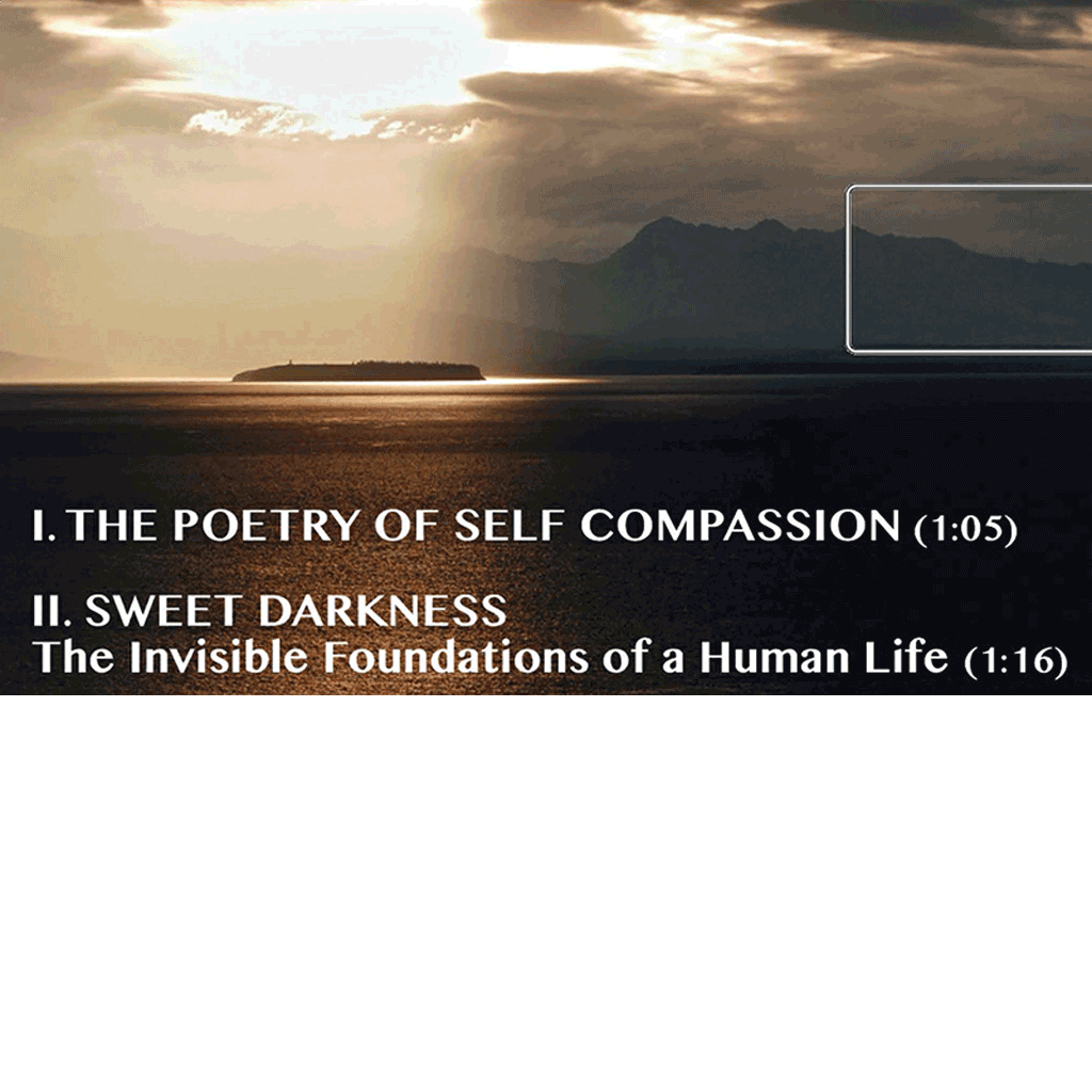 USB Flash Drive - The Poetry of Self Compassion & Sweet Darkness