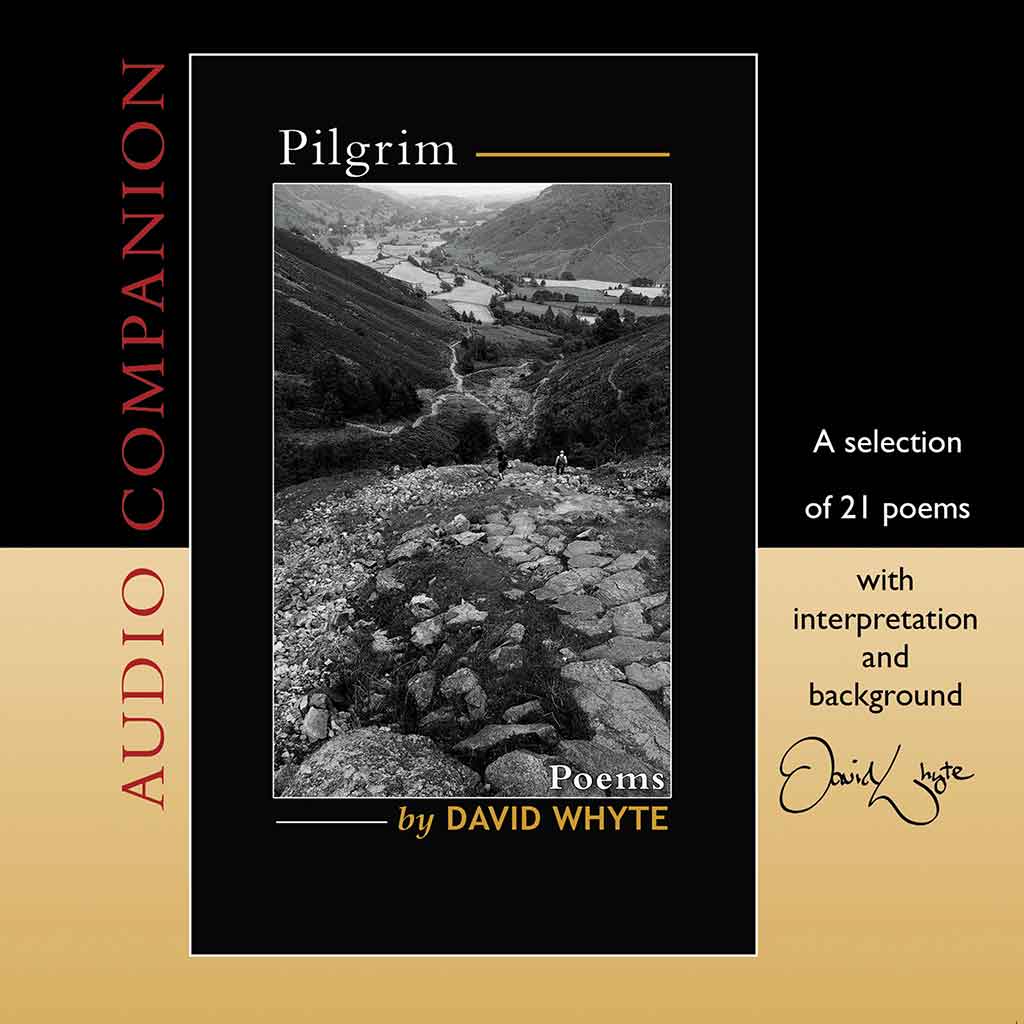 Pilgrim Audio Companion - Download Only