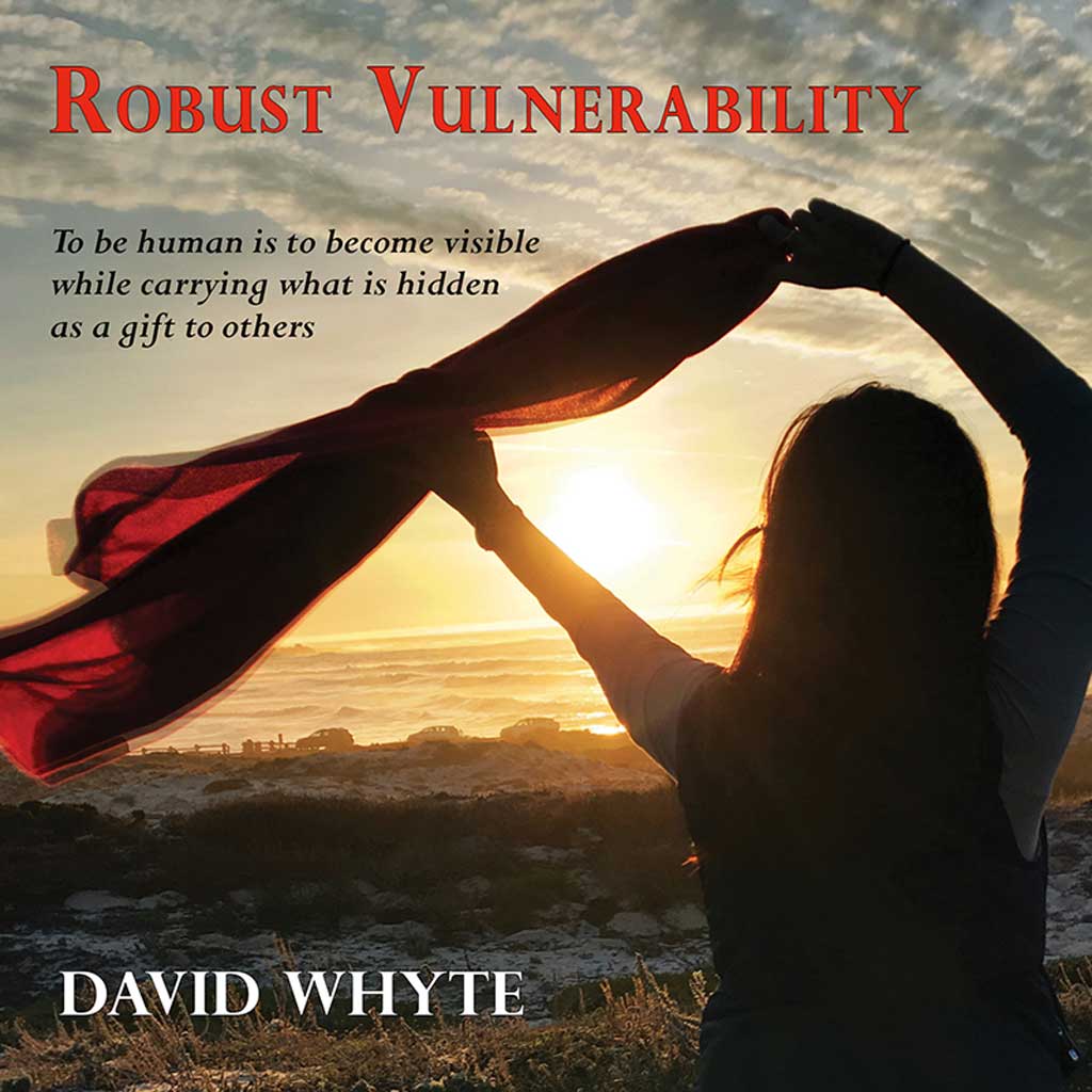 Robust Vulnerability