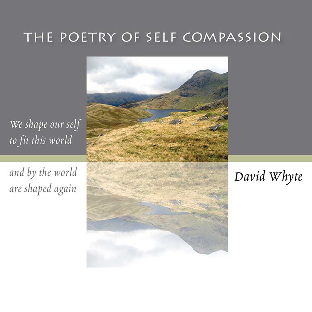 The Poetry of Self Compassion