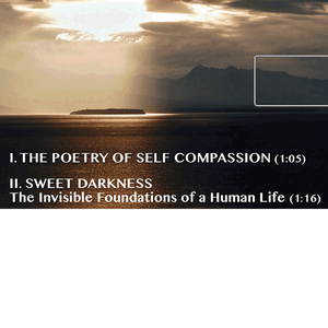 USB Flash Drive - The Poetry of Self Compassion & Sweet Darkness