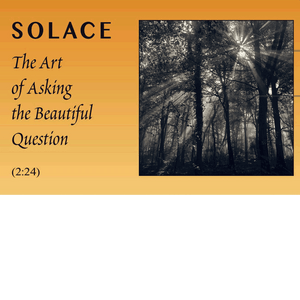 Solace: The Art of Asking the Beautiful Question